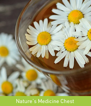 Nature's medicine chest Nature's medicine chest